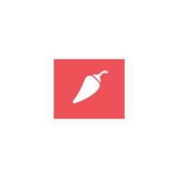 Solidpepper PDM logo
